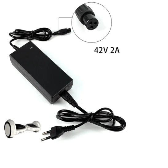 Hoverboard Charger 42V